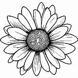 Simple Daisy Coloring Page · Creative Fabrica sketch template