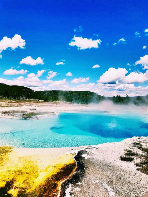 Biscuit Geyser Basin 💛💙 | Anya | Flickr