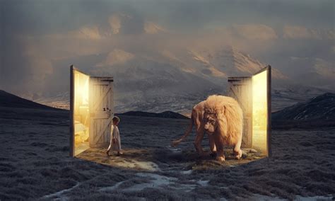 Narnia Wallpaper (77+ images)