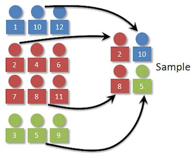 What Is Stratified Sampling? - StatCalculators.com