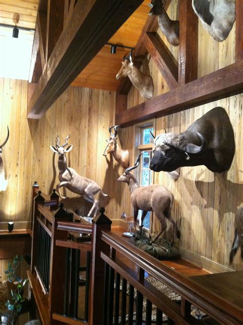 trophy room wall Hunting Cabin Decor, Hunting Rooms, Deer Trophy ...