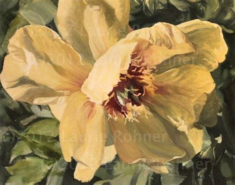 Original Watercolor Painting Yellow Tree Peony by BetweenTheWeeds, SOLD ...