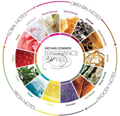 the-fragrance-wheel | Everfumed | Fragrance Notes