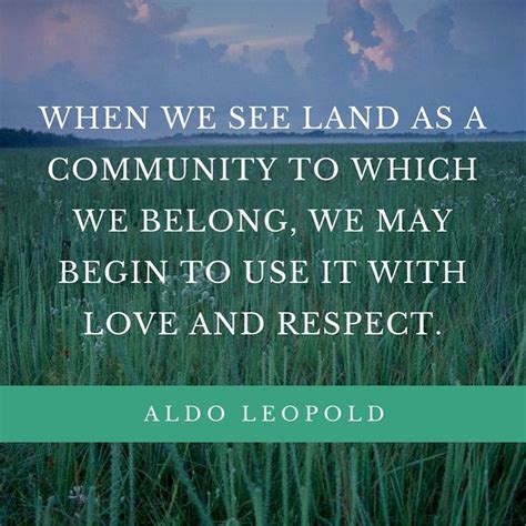 "When we see land as a community to which we belong, we may begin to use it with love and ...