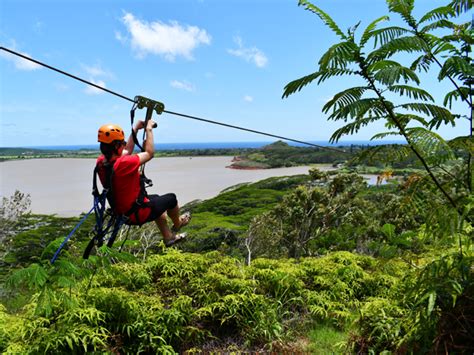 Koloa Zipline Tour - Hawaii Discount