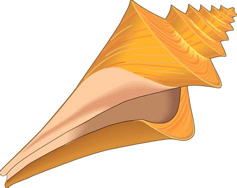 Seashells Clipart - ClipArt Best