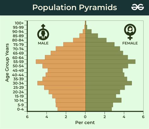 What are population pyramids? How do they help in understanding about ...