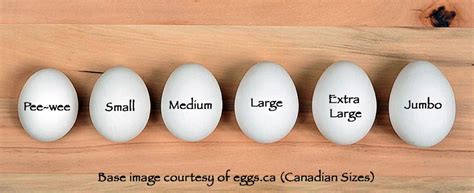 Egg Size and Weight – An international guide with egg size comparison chart