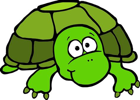 Baby Sea Turtle Clipart at GetDrawings | Free download