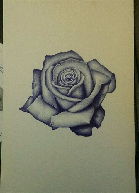 Shaded Rose Drawing at PaintingValley.com | Explore collection of ...