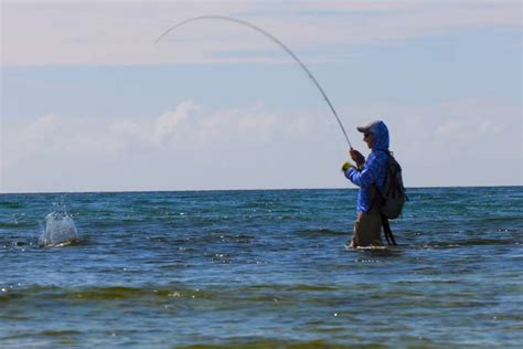 Saltwater Fly Fishing for Beginners in 2024