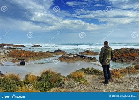 Looking out to sea. stock photo. Image of lone, shore - 5552774