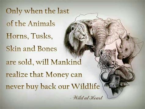 Quotes about Rhinos (43 quotes)