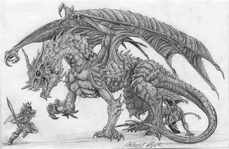 24+ beautiful dragon drawing - HirsaLayden