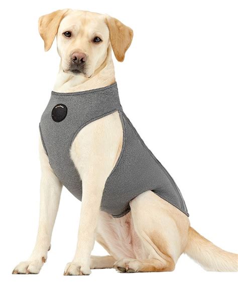 Dog Anxiety Vest Calming Jacket & Wraps for Dogs – neosportslab.com