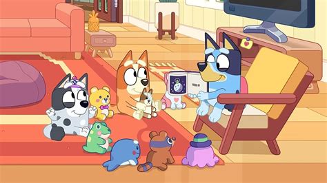 Bluey (S02E30): Library Summary - Season 2 Episode 30 Guide