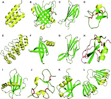 Protein scaffolds: antibody alternatives for cancer diagnosis and therapy - RSC Chemical Biology ...