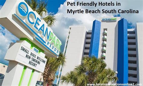 10 Best Pet Friendly Hotels in Myrtle Beach South Carolina