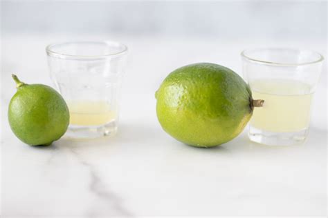 Key Limes vs Persian Limes - The Grove Bend Kitchen