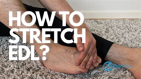 How To Stretch Extensor Digitorum Longus (Foot) - 4 Best Stretches For Flexibility - YouTube