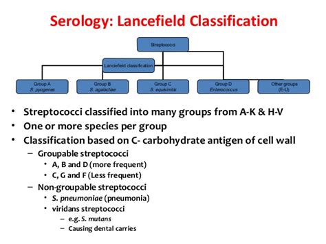 Classification of Streptococcus - Online Science Notes