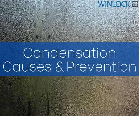 Understanding Condensation on Windows in Winter: Causes and Prevention ...