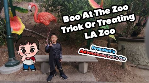 Boo At The Zoo Trick Or Treating Kids Vlog LA Zoo - YouTube