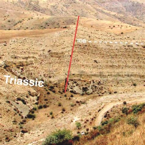 View of the Permian-Triassic boundary and the red Paratirolites beds... | Download Scientific ...