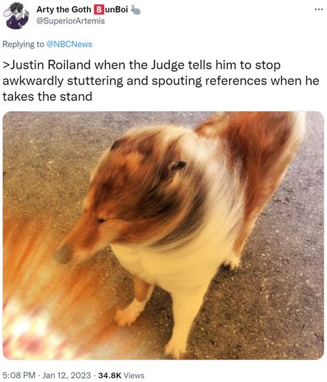 >Justin Roiland when the Judge tells him to stop awkwardly stuttering ...