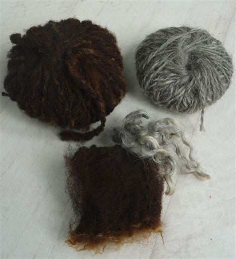 Wool - Tribulations of Hand Spinning and Herbal Dyeing: Gotland and Zwartbles Sheep Fleece ...