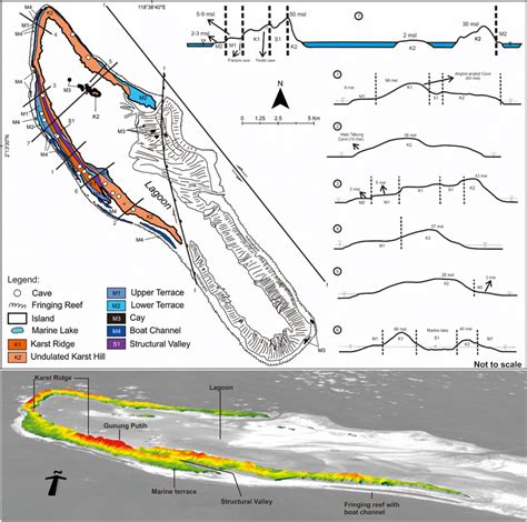 Landforms of the Maratua Island—upper marine terrace (M1), lower marine ...