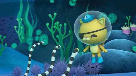 Oktonauti - Octonauts and the Mimic Octopus (S02E16) (2013) | Galerie ...