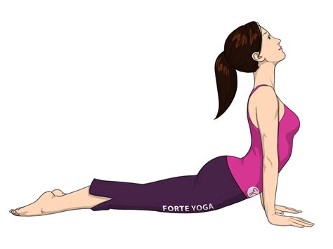 Upward Facing Dog Yoga Pose - Forte Yoga