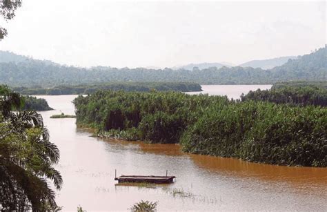 Tasik Chini ecosystem under threat? | New Straits Times | Malaysia General Business Sports and ...