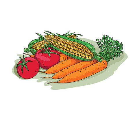 Vegetable Garden Crop Harvest Drawing Digital Art by Aloysius Patrimonio