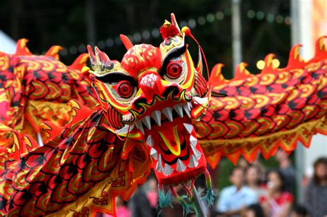 The Year of the Dragon : Shanghai Style | Chinese dragon, Happy and New ...