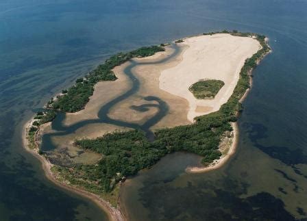 Coastal Restoration at Port Manatee Florida | Kevin L. Erwin Consulting Ecologist, Inc.