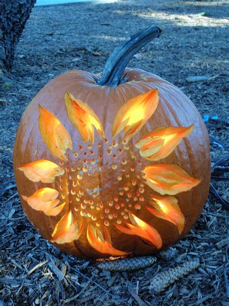 Sunflower Pumpkin Carving - WCCB Charlotte's CW