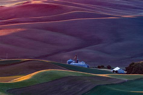 Palouse At Sunrise Photograph by Austin Li