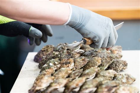 Galway International Oyster & Seafood Festival returns