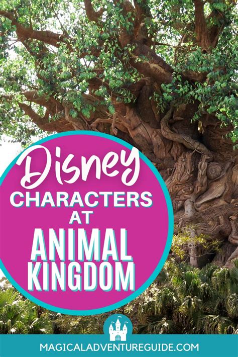 Animal Kingdom Characters: Who to Find Where