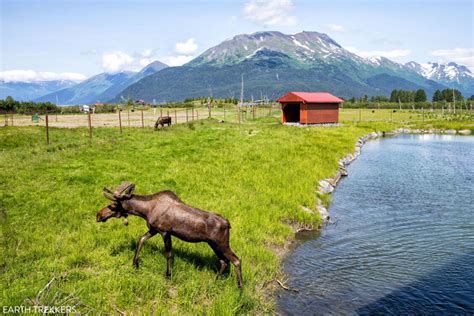 Anchorage to Seward: Best Things to Do on the Seward Highway – Earth Trekkers