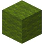 Wool – Official Minecraft Wiki