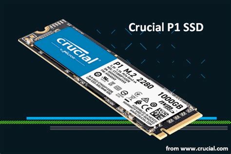 Crucial P1 SSD – A Fast Consumer Drive For You - MiniTool