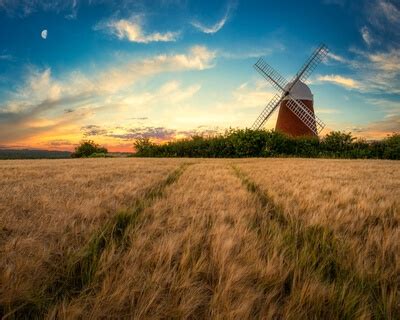 Image of Halnaker Windmill by Jakub Bors | 1009406