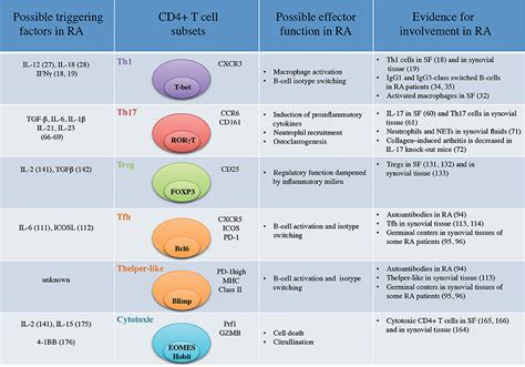 Frontiers | Effector Functions of CD4+ T Cells at the Site of Local ...