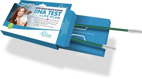 The 4 Best Dog DNA Tests of 2020