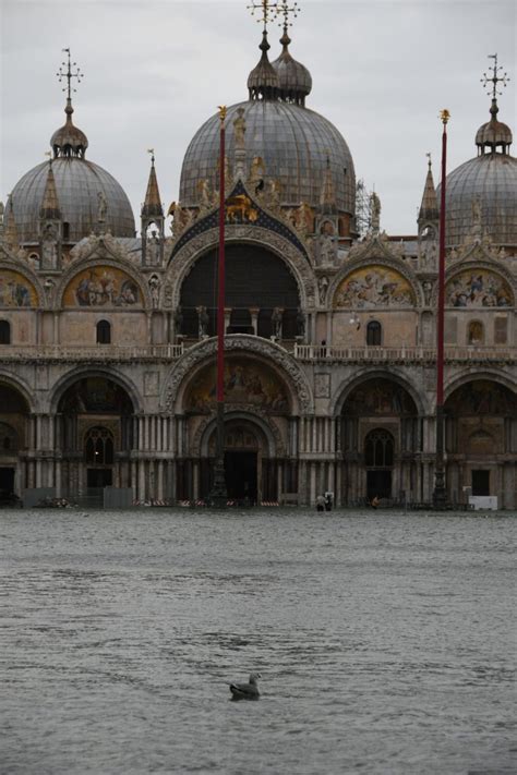 Venice Museums Reopen After Dangerously High Tides and the Worst Flooding in Decades