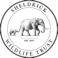 The David Sheldrick Wildlife Trust - JustGiving