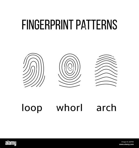 Fingerprint types hi-res stock photography and images - Alamy